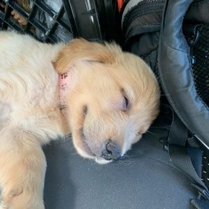 Meet your Posher, Maranda